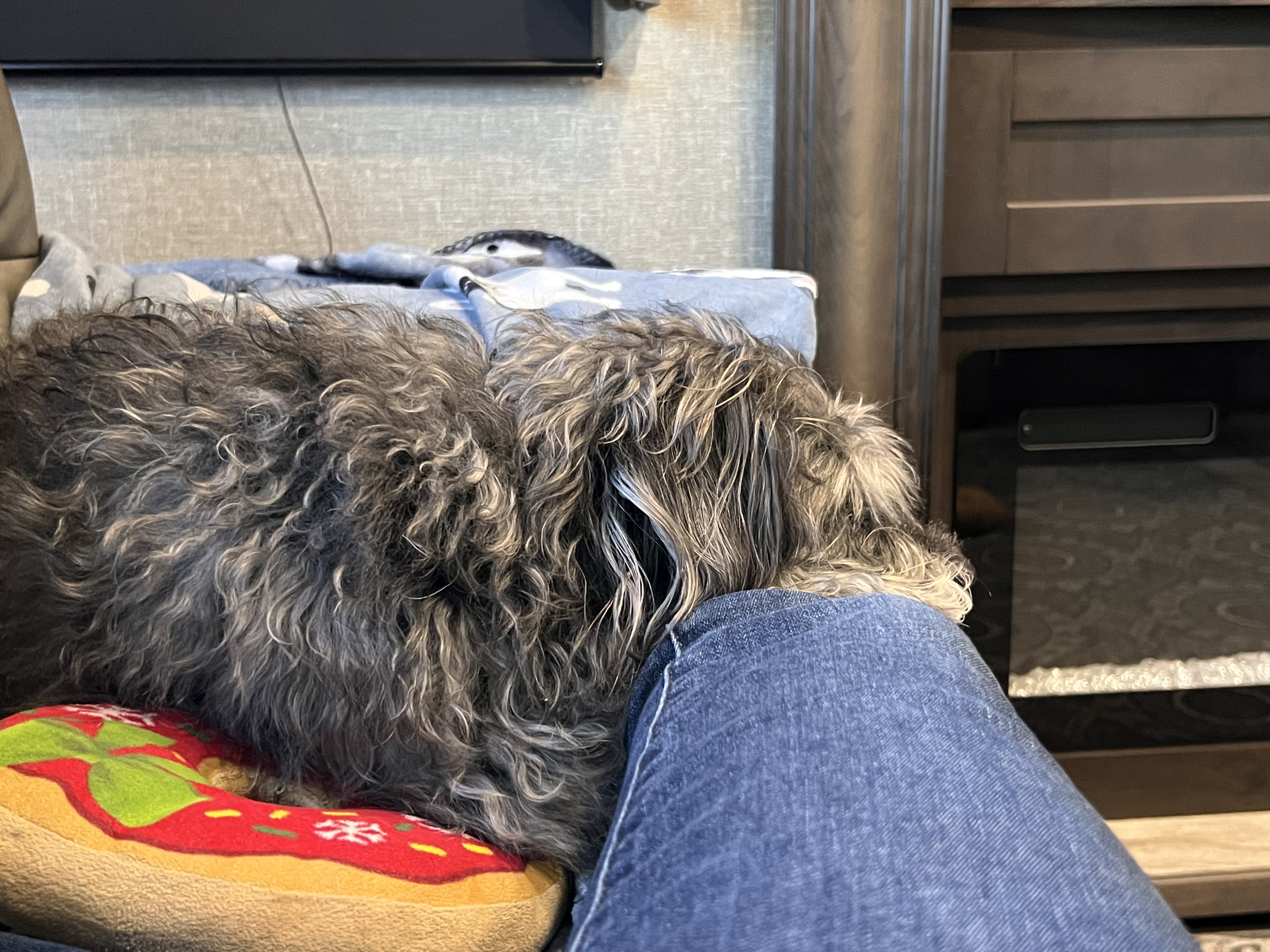 ./2023/01 - New Bern/IMG_6272.JPG